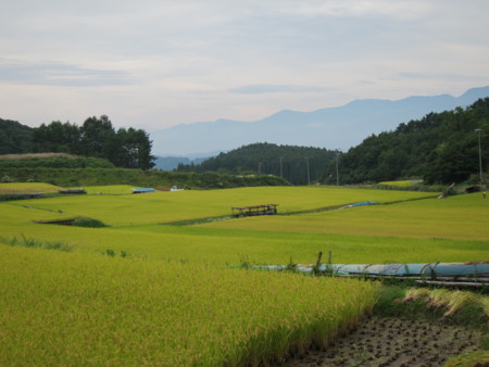 f:id:lupoGTI:20160917143443j:image
