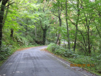 f:id:lupoGTI:20160929130536j:image