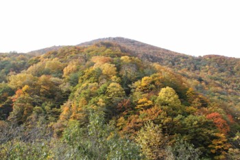 f:id:lupoGTI:20161022201541j:image