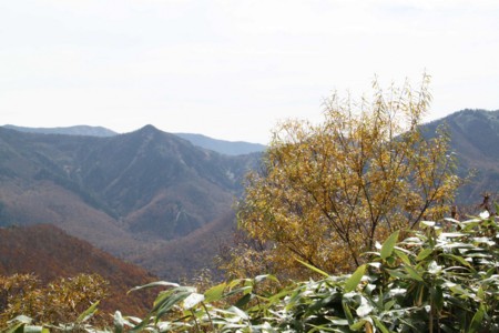 f:id:lupoGTI:20161022201924j:image