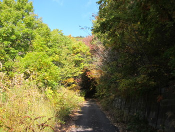 f:id:lupoGTI:20161103132403j:image