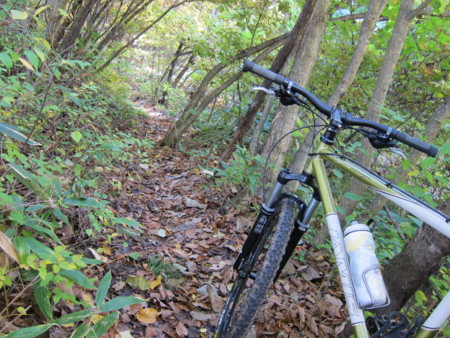 f:id:lupoGTI:20161103132714j:image