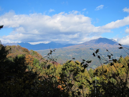 f:id:lupoGTI:20161103132828j:image