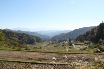 f:id:lupoGTI:20161105175147j:image