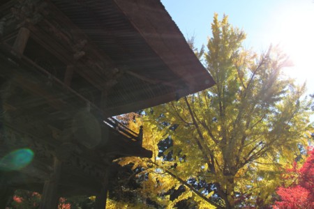 f:id:lupoGTI:20161105180615j:image