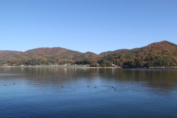 f:id:lupoGTI:20161105181359j:image