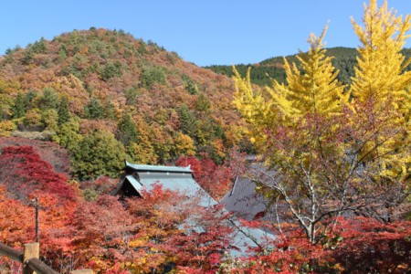 f:id:lupoGTI:20161105181420j:image
