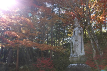 f:id:lupoGTI:20161105181503j:image