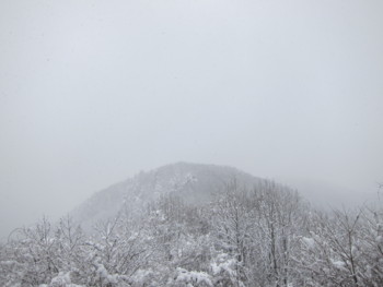 f:id:lupoGTI:20170114164442j:image