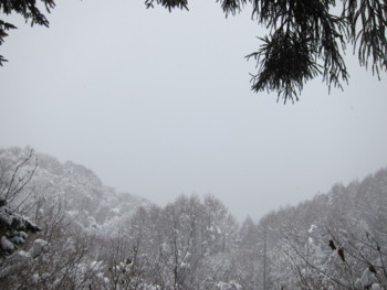 f:id:lupoGTI:20170114164457j:image