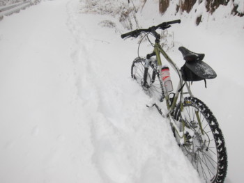 f:id:lupoGTI:20170114164529j:image