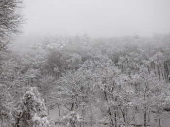 f:id:lupoGTI:20170114164549j:image