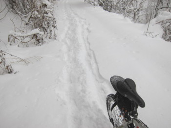 f:id:lupoGTI:20170114164605j:image