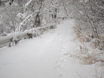 f:id:lupoGTI:20170114164621j:image