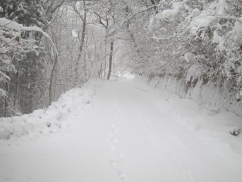 f:id:lupoGTI:20170114164637j:image