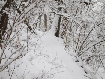 f:id:lupoGTI:20170114164813j:image