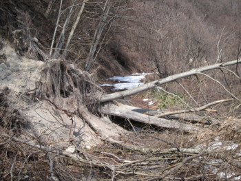 f:id:lupoGTI:20170320175909j:image f:id:lupoGTI:20170320175909j:image