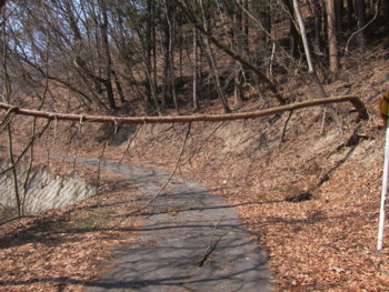 f:id:lupoGTI:20170320175927j:image f:id:lupoGTI:20170320175927j:image