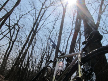 f:id:lupoGTI:20170320181011j:image f:id:lupoGTI:20170320181011j:image