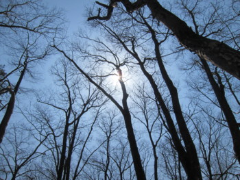 f:id:lupoGTI:20170320181024j:image f:id:lupoGTI:20170320181024j:image