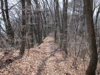 f:id:lupoGTI:20170320181037j:image f:id:lupoGTI:20170320181037j:image