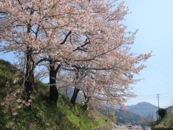 f:id:lupoGTI:20170430174949j:image