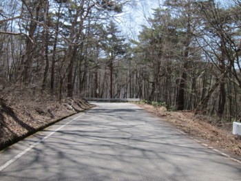 f:id:lupoGTI:20170430175550j:image