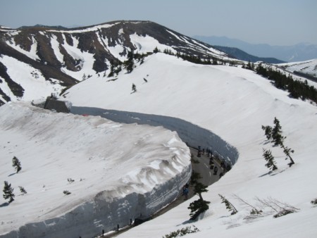 f:id:lupoGTI:20170430180804j:image