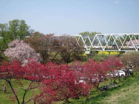 f:id:lupoGTI:20170430181544j:image