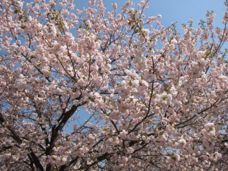 f:id:lupoGTI:20170430181603j:image