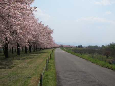 f:id:lupoGTI:20170430181610j:image