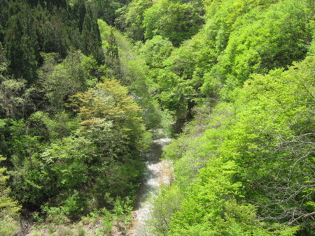 f:id:lupoGTI:20170514165610j:image