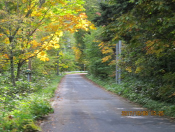 f:id:lupoGTI:20171009082021j:image