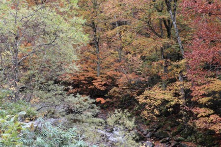f:id:lupoGTI:20171014172651j:image