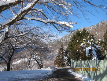 f:id:lupoGTI:20171229162316j:image