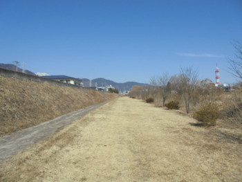 f:id:lupoGTI:20180304181745j:image