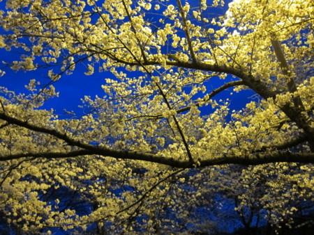 f:id:lupoGTI:20180405211512j:image