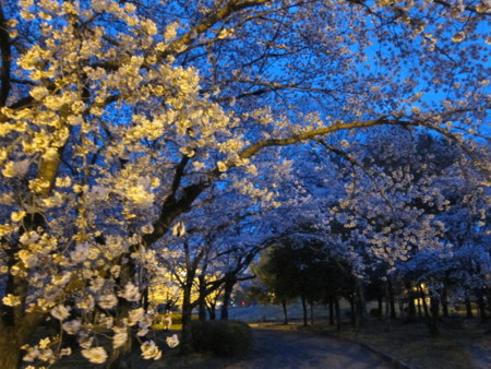 f:id:lupoGTI:20180405211528j:image