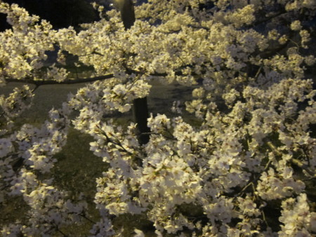 f:id:lupoGTI:20180405211538j:image