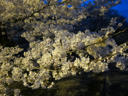 f:id:lupoGTI:20180405211550j:image