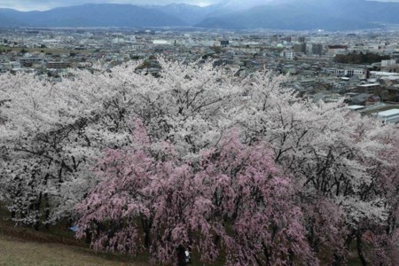 f:id:lupoGTI:20180407200719j:image