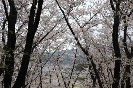 f:id:lupoGTI:20180407200736j:image