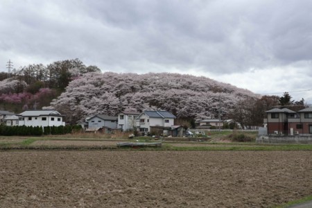 f:id:lupoGTI:20180407200808j:image