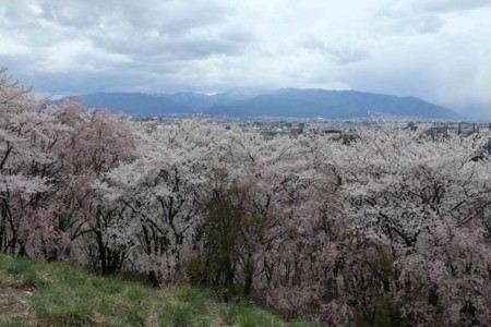 f:id:lupoGTI:20180407201635j:image