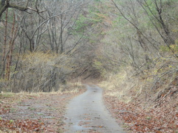 f:id:lupoGTI:20180415180535j:image