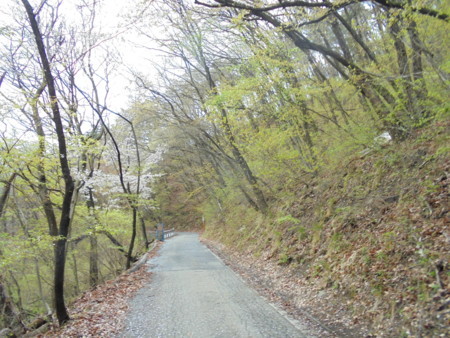 f:id:lupoGTI:20180415180544j:image