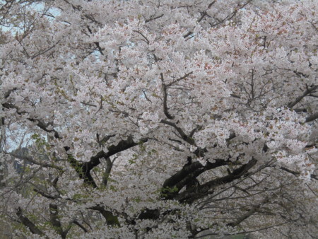 f:id:lupoGTI:20180415180552j:image