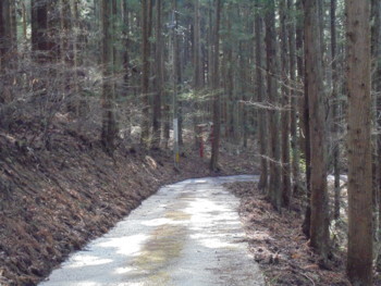 f:id:lupoGTI:20180415181204j:image