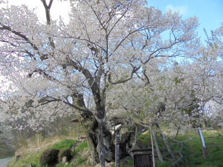 f:id:lupoGTI:20180415181619j:image