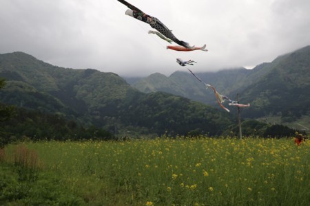 f:id:lupoGTI:20180504163908j:image